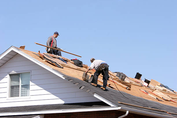Best Skylight Installation and Repair  in Richland, GA